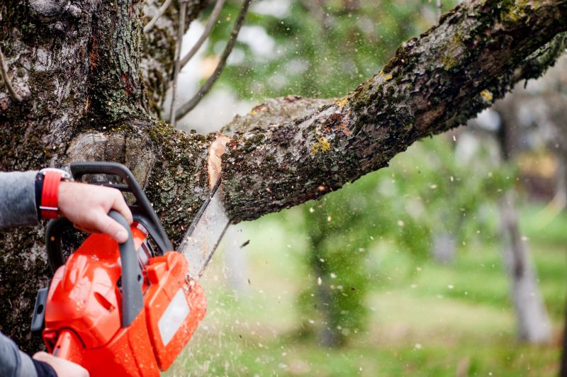 Tree Branch Cutting in Doylestown, PA