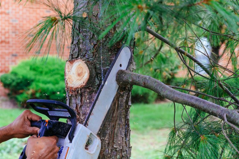 Tree Branch Chipping