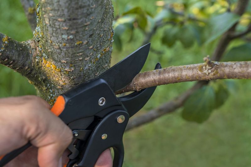 Tree Branch Chipping