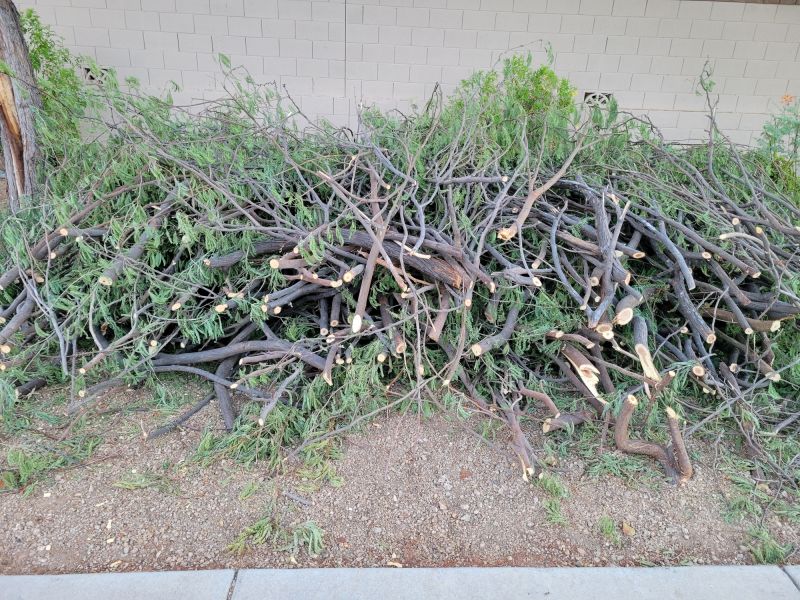 Warranty & Quality Checks