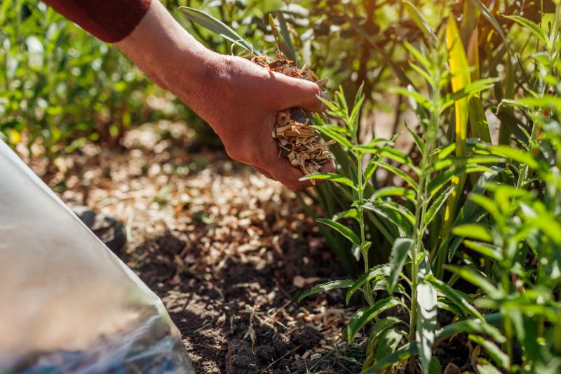 Mulching with Tree Branch Chippings